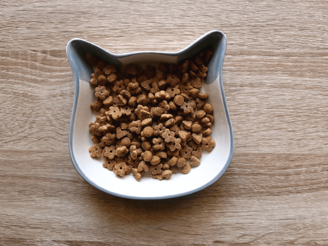 キャットフード