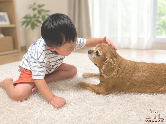 子供と愛犬